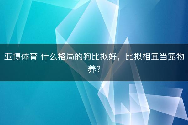 亚博体育 什么格局的狗比拟好，比拟相宜当宠物养？